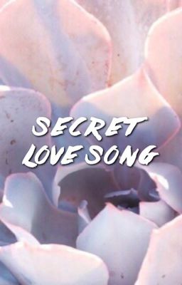 secret love song | vmin