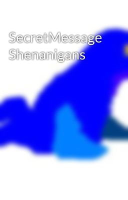 SecretMessage Shenanigans