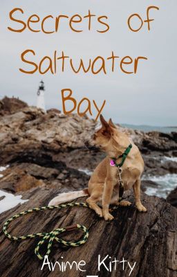 ✔Secrets of Saltwater Bay