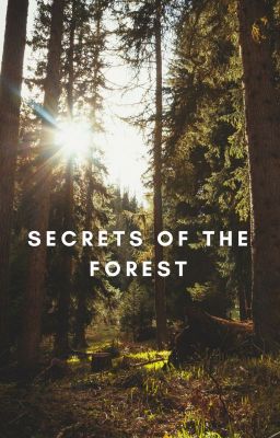 Secrets of the Forest