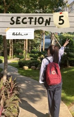Section 5