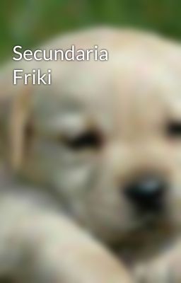 Secundaria Friki