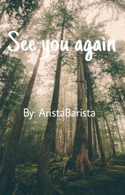 See You Again {Kagehina oneshot}