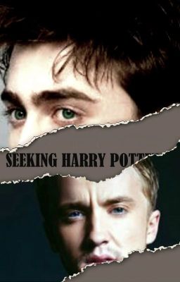 Seeking Harry Potter