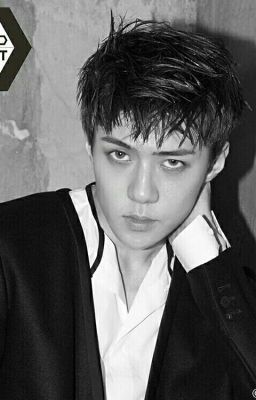 [Sehun Fanfiction] Cỏ bốn lá tình yêu anh và em