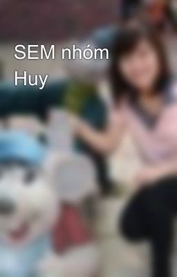 SEM nhóm Huy