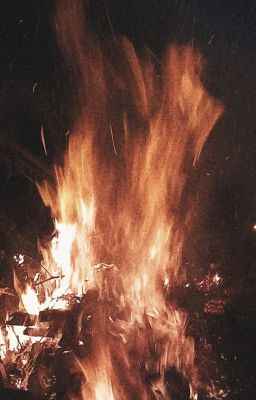[Sen Bình] Lửa