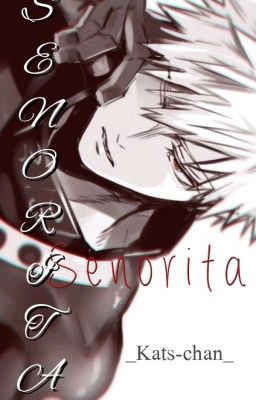 Senorita [Hero Bakugou x Reader] ✔BEFEJEZETT✔