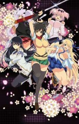 Senran Kagura x Male reader x Ninja Gaiden x Ayakashi Triangle