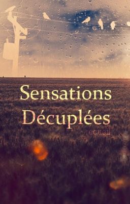 Sensations Décuplées [ RECUEIL ]