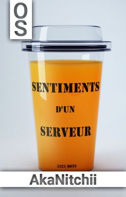 Sentiments d'un serveur ✧ᵒˢ✧