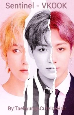 Sentinel - VKOOK 