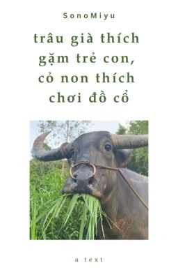 seoksoo • trâu già thích gặm trẻ con, cỏ non thích chơi đồ cổ