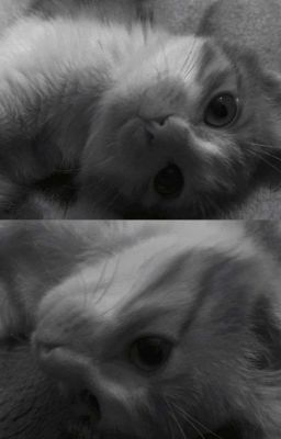 seongtak | lời không nói