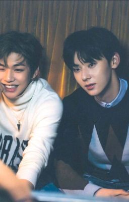 [Series Fanfic] [Shortfic - Hwangniel] Sasaeng fans