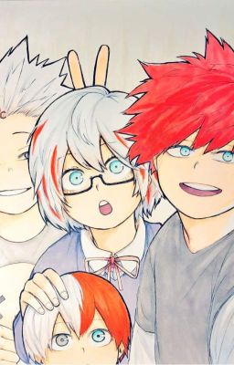 [Series Todoroki Family] Try Again