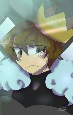 Seto Kaiba X Reader