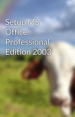 Setup MS Office Professional Edition 2003