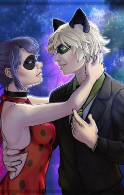 SEULEMENT SI C'EST POUR UNE NUIT [FANFICTION MIRACULOUS]