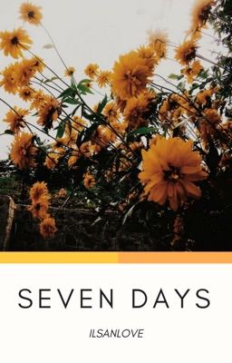 SEVEN DAYS 