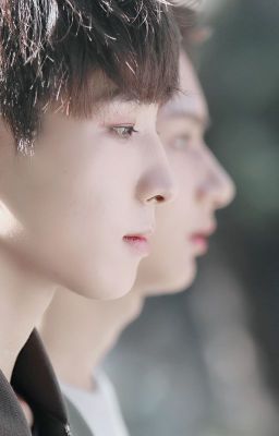 [SEVENTEEN | Meanie Fanfic] Chân dung hoa đào tuyết