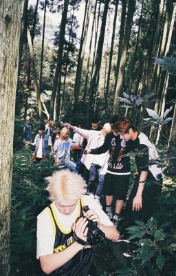 [ seventeen ] tám xóm dưới, mười bảy chuyện trên trời