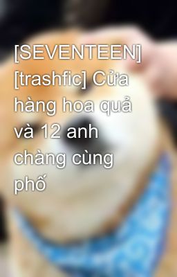 [SEVENTEEN] [trashfic] Cửa hàng hoa quả và 12 anh chàng cùng phố