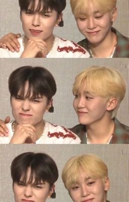 [Seventeen][Verkwan] dear my diary