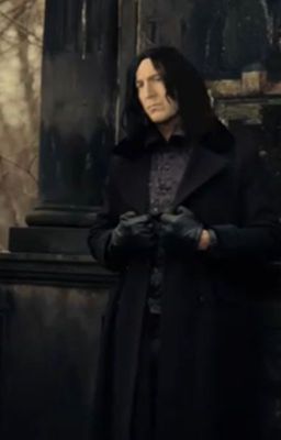 Severus Snape-After the War