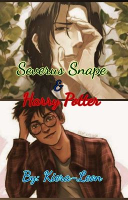 Severus Snape And Harry Potter 