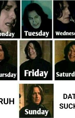 [Severus Snape] Kiếp Sống Làm Trâu Làm Ngựa Cho Tư Bản