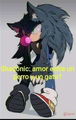 Shadonic: amor entre un perro y un gato?