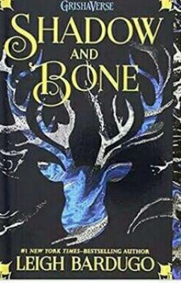 Shadow and Bone chat room.