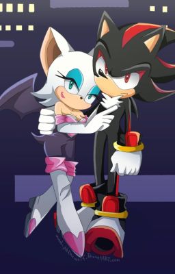 Shadow and Rouge's thirty days together (ON HOLD)