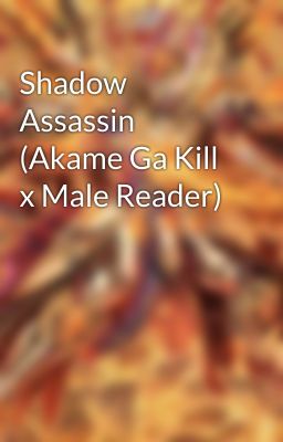 Shadow Assassin (Akame Ga Kill x Male Reader)