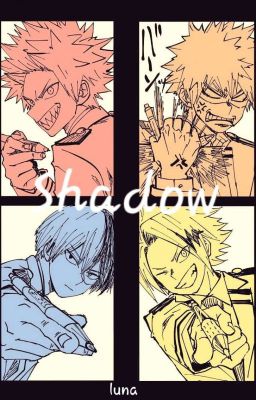 Shadow | BNHA x F!Reader 