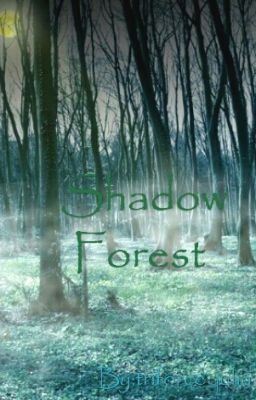 Shadow Forest  