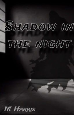 Shadow in the night