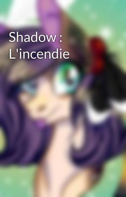 Shadow : L'incendie