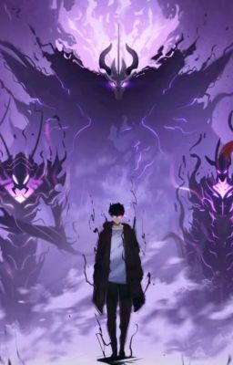 Shadow Monarch: Male Reader x anime fantasy world