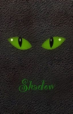 Shadow's stories