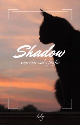 shadow || warrior cats