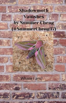 Shadowmoth Vanishes by Summer Cheng