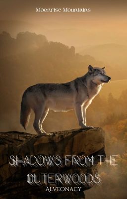 Shadows from the Outerwoods (Moonrise Mountains Book 1)