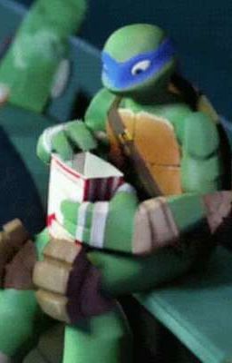 Shall We Date,Captain?[Leonardo Hamato X Reader]