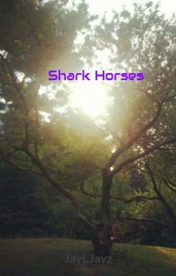 Shark Horses