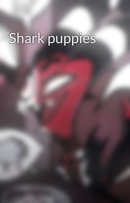 Shark puppies