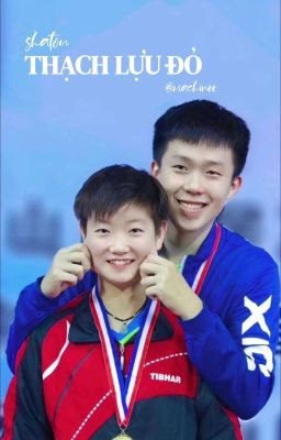 shatou ● thạch lựu đỏ