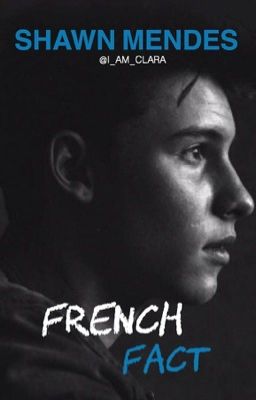 shawn mendes, french facts (FR)