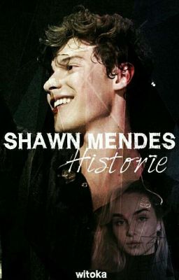 Shawn Mendes-historie🌜